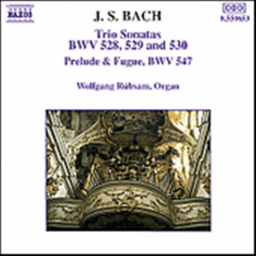 BACH J. S.: Trio Sonatas 4-6 - Wolfgang Rübsam - Musiikki - Naxos - 4891030506534 - keskiviikko 11. elokuuta 1993