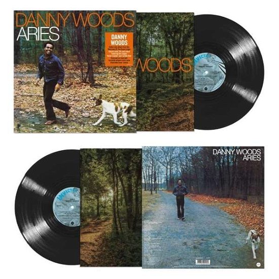 Cover for Danny Woods · Airies (LP) [Reissue edition] (2020)