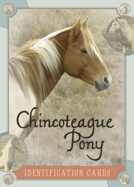 Cover for Lois Szymanski · Chincoteague Pony Identification Cards (Paperback Book) (2013)