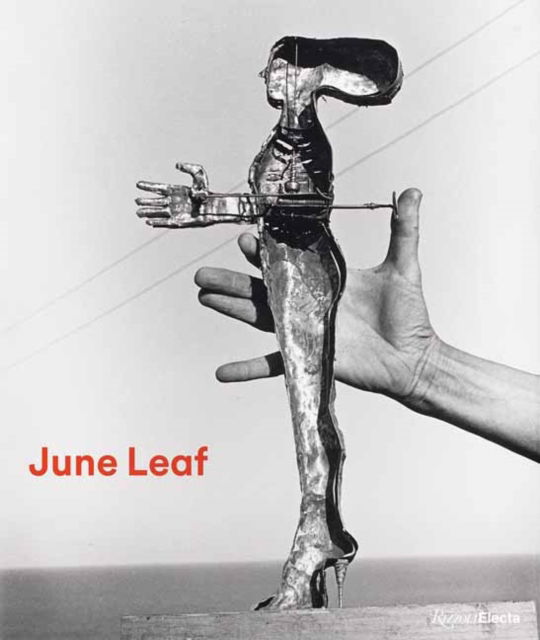 Cover for Sam Adams · June Leaf: Shooting from the Heart (Hardcover Book) (2025)