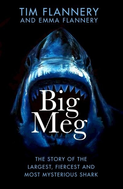 Cover for Tim Flannery · Big Meg: The Story of the Largest, Fiercest and Most Mysterious Shark (Inbunden Bok) (2023)