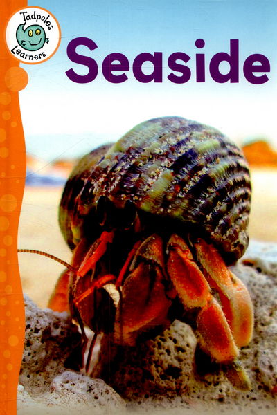 Cover for Annabelle Lynch · Tadpoles Learners: Seaside - Tadpoles Learners (Hardcover Book) [Illustrated edition] (2015)