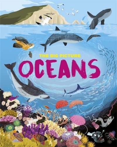 The Big Picture: Oceans - The Big Picture - Jon Richards - Books - Hachette Children's Group - 9781445170534 - November 11, 2021