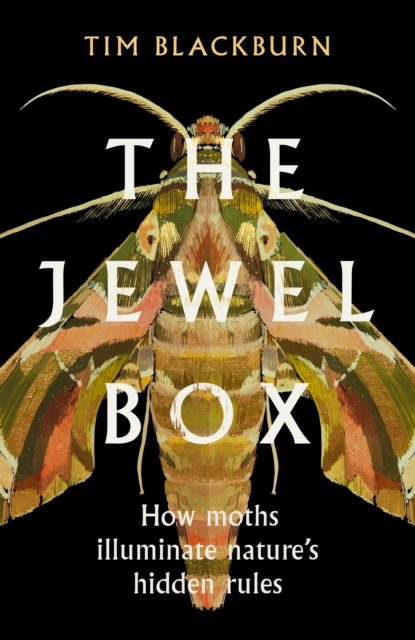 Cover for Tim Blackburn · The Jewel Box: How Moths Illuminate Nature's Hidden Rules (Taschenbuch) (2023)