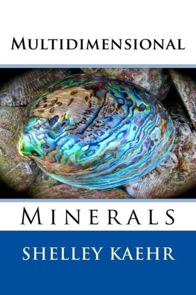 Cover for Shelley Kaehr · Multidimensional Minerals (Paperback Book) (2014)