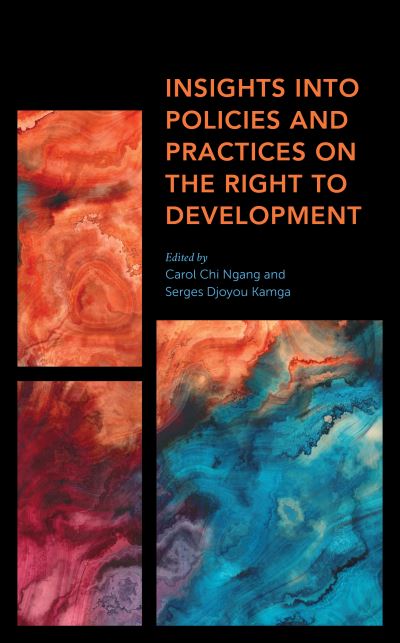 Cover for Djoyou Kamga Serges · Insights into Policies and Practices on the Right to Development - Africa: Past, Present &amp; Prospects (Gebundenes Buch) (2020)