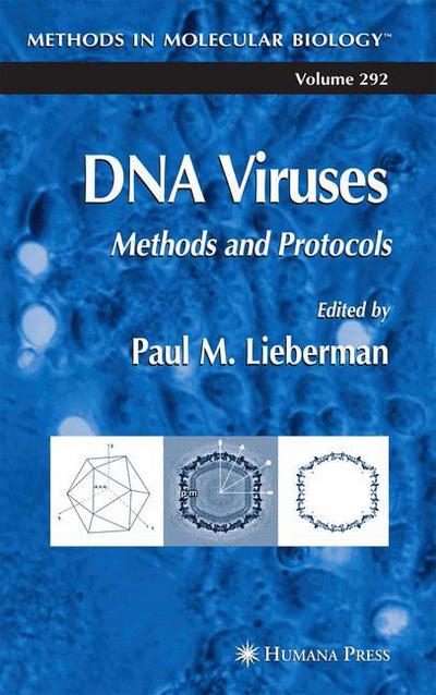 Cover for Paul M Lieberman · DNA Viruses: Methods and Protocols - Methods in Molecular Biology (Hardcover Book) [2005 edition] (2004)