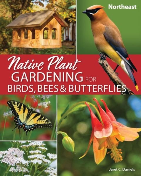 Cover for Jaret C. Daniels · Native Plant Gardening for Birds, Bees &amp; Butterflies: Northeast - Nature-Friendly Gardens (Pocketbok) (2022)