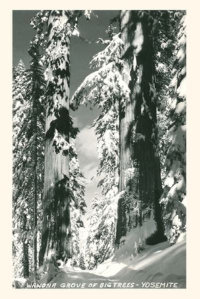 Cover for Found Image Press · Vintage Journal Wawona Grove of Big Trees, Yosemite (Book) (2022)