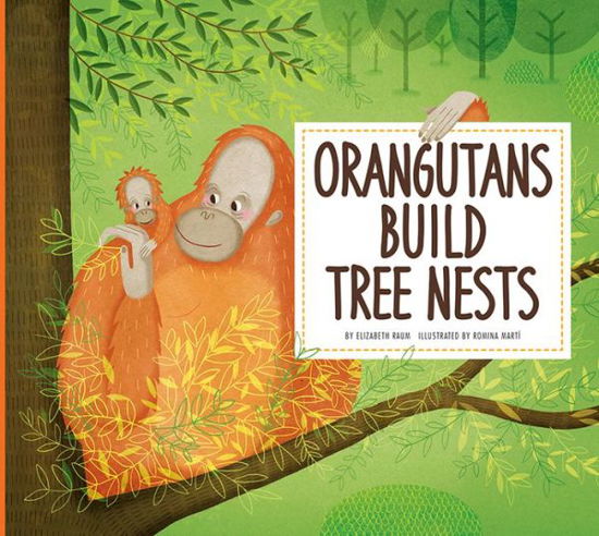 Cover for Elizabeth Raum · Orangutans Build Tree Nests: Animal Builders - Animal Builders (Pocketbok) (2018)