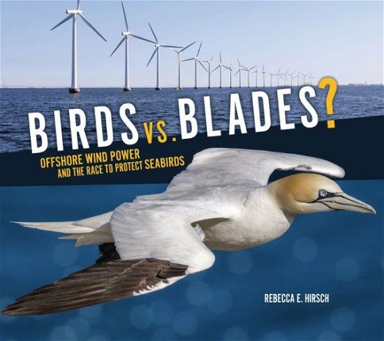 Cover for Rebecca E Hirsch · Birds vs. Blades?: Offshore Wind Power and the Race to Protect Seabirds (Paperback Book) (2023)
