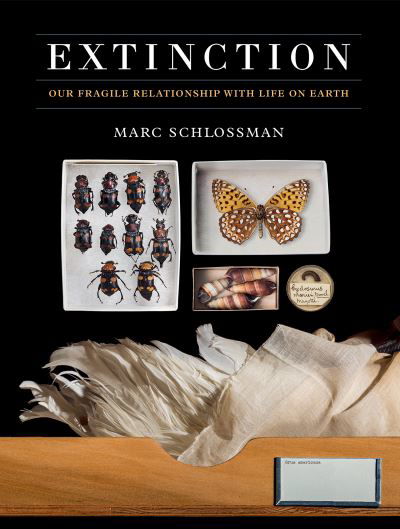 Cover for M Schlossman · Extinction (Hardcover bog) (2022)