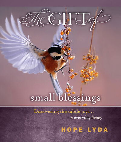 Cover for Hope Lyda · The Gift of Small Blessings (Hardcover Book) (2019)