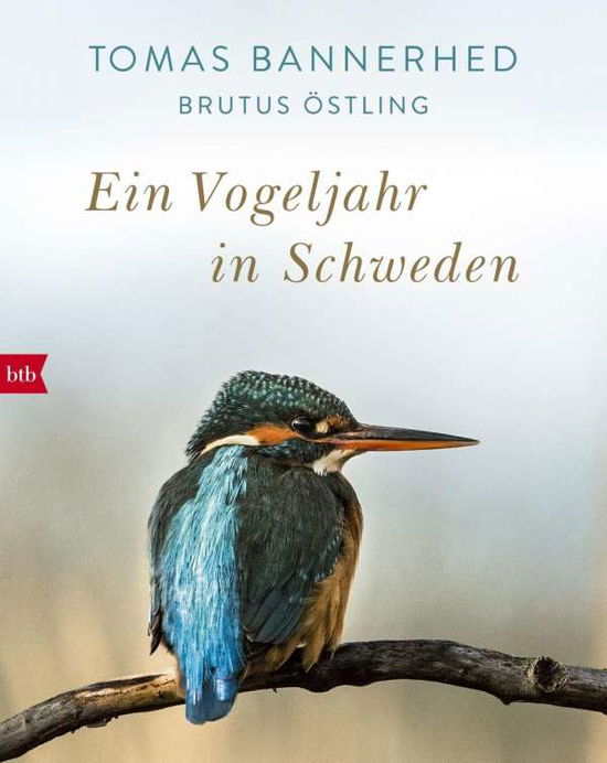 Cover for Bannerhed · Ein Vogeljahr in Schweden (Book)