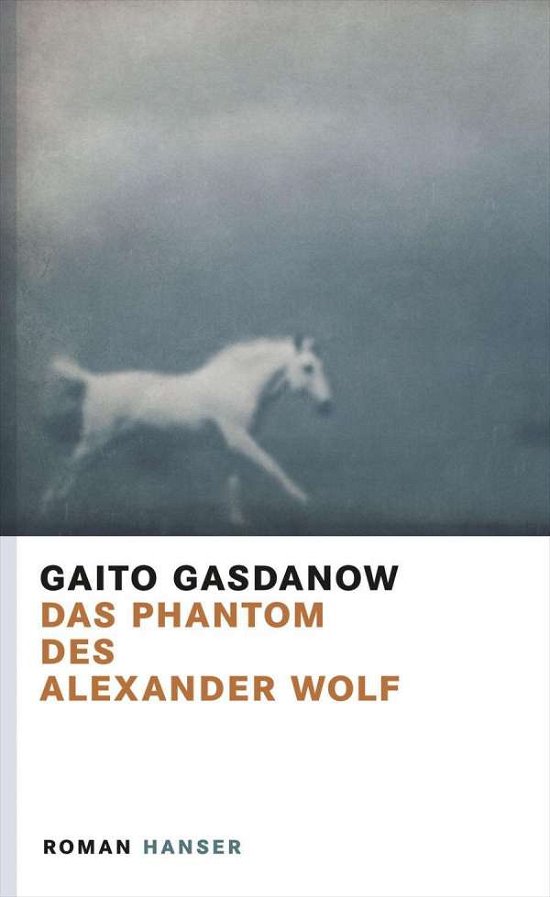 Cover for Gasdanow · Das Phantom des Alexander Wolf (Buch)