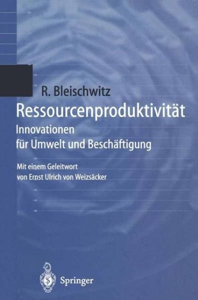 Cover for Raimund Bleischwitz · Ressourcenproduktivitat (Paperback Book) [German edition] (1998)