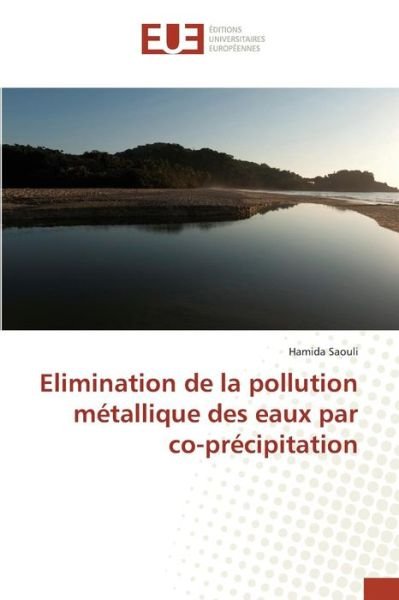 Cover for Saouli Hamida · Elimination De La Pollution Metallique Des Eaux Par Co-precipitation (Pocketbok) (2018)