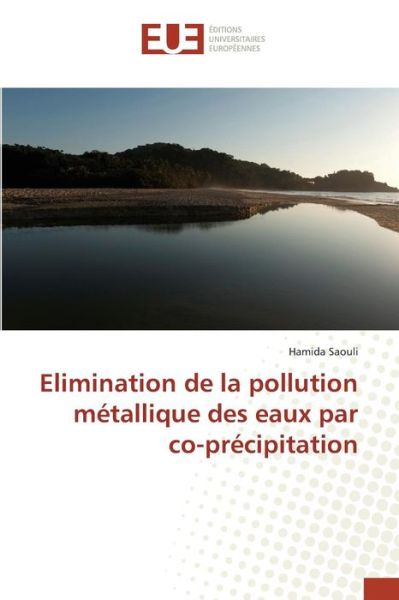 Elimination De La Pollution Metallique Des Eaux Par Co-precipitation - Saouli Hamida - Książki - Editions Universitaires Europeennes - 9783841673534 - 28 lutego 2018