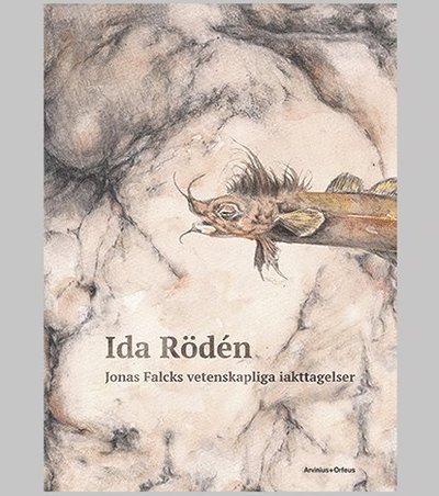 Cover for Ida Rödén · Jonas Falcks vetenskapliga iakttagelser (Bound Book) (2022)