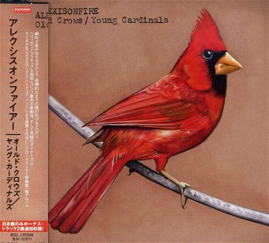 Cover for Alexisonfire · Old Crows / Young Cardinals (CD) (2009)
