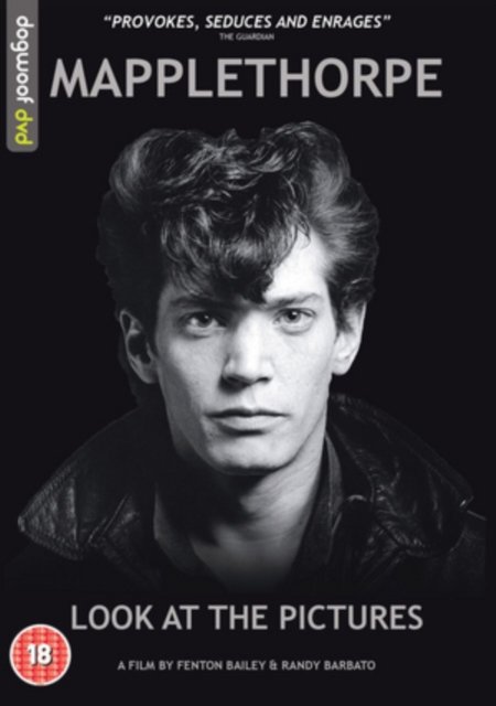 Cover for Mapplethorpe Look at the Pictures · Mapplethorpe Look At The Pictures (DVD) (2016)