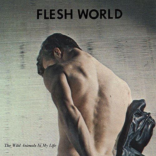 Cover for Flesh World · Wild Animals In My Life (LP) (2018)