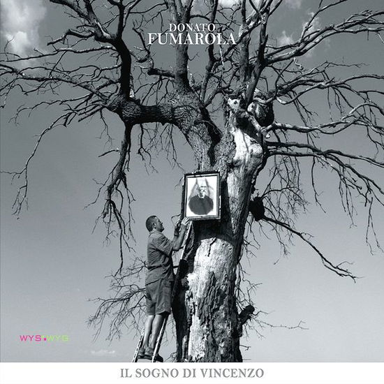 Cover for Donato Fumarola · Il Sogno Di Vincenzo (CD) (2014)