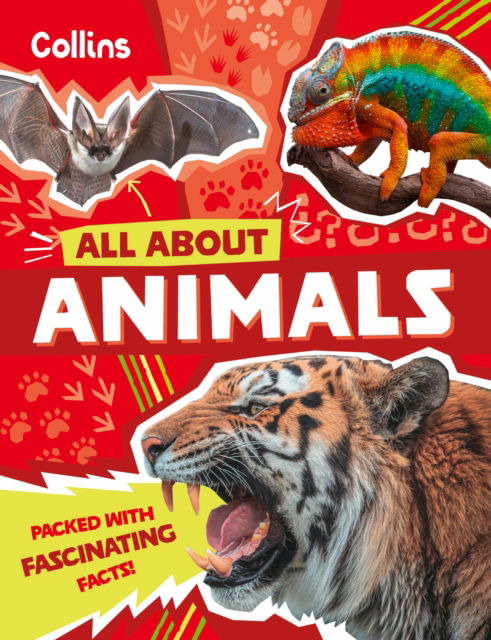 Cover for Collins Kids · Animals - All About (Paperback Book) (2025)