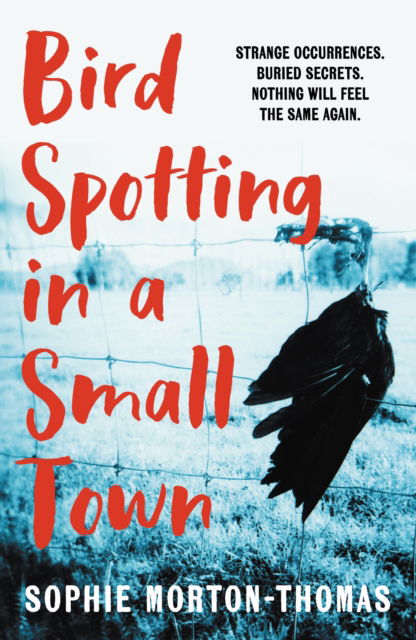 Cover for Sophie Morton-Thomas · Bird Spotting in a Small Town (Paperback Book) (2024)