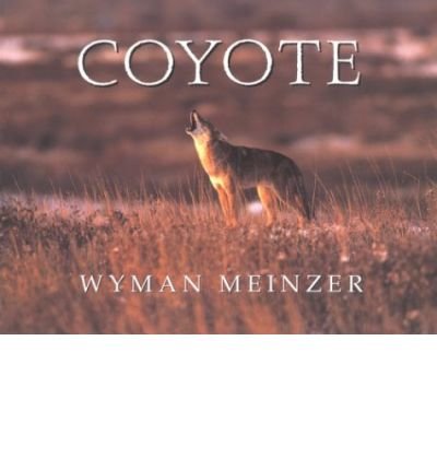 Cover for Wyman Meinzer · Coyote (Paperback Book) (1995)