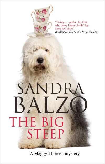 Cover for Sandra Balzo · The Big Steep - A Maggy Thorsen Mystery (Hardcover Book) [Main - Large Print edition] (2022)