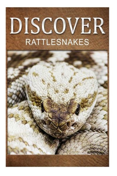 Rattle Snakes - Discover: Early Reader's Wildlife Photography Book - Discover Press - Books - Createspace - 9781500229535 - June 18, 2014