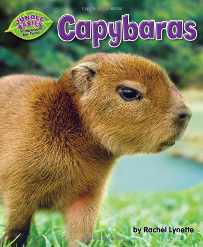 Cover for Rachel Lynette · Capybaras (Jungle Babies of the Amazon Rain Forest) (Hardcover Book) (2013)