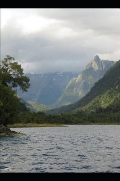 Cover for Furaha Lugoe · Ecosystem Management in the Great Lakes Region of Africa (Paperback Bog) (2019)