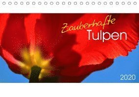 Zauberhafte Tulpen (Tischkalend - Trabant - Books -  - 9783670674535 - 
