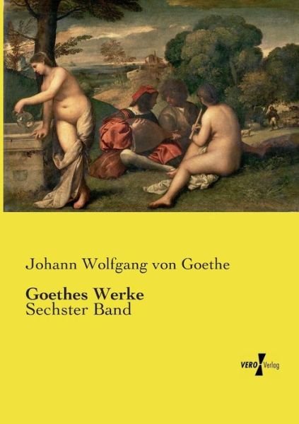 Cover for Johann Wolfgang Von Goethe · Goethes Werke (Taschenbuch) (2019)