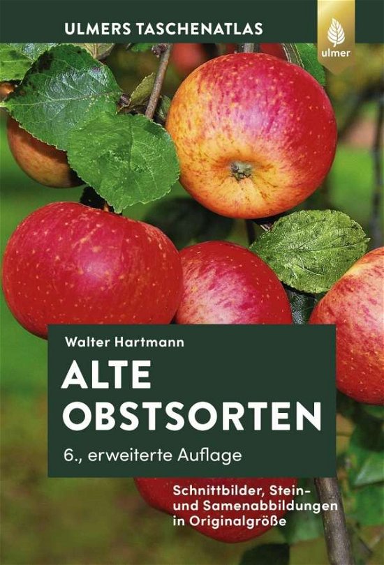 Cover for Hartmann · Alte Obstsorten (Bok)
