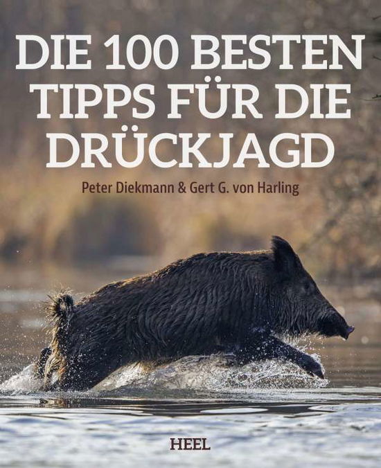 Cover for Diekmann · Die 100 besten Tipps f.Drückja (Book)