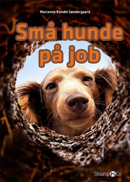 Cover for Marianne Randel Søndergaard · Mini: Små hunde på job (Gebundenes Buch) [1. Ausgabe] (2018)