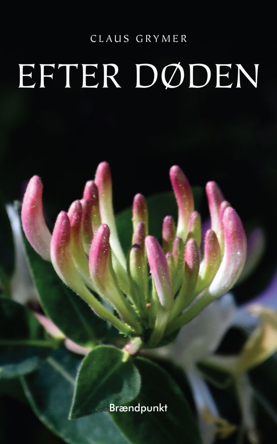 Cover for Claus Grymer · Efter døden (Sewn Spine Book) [1st edition] (2020)