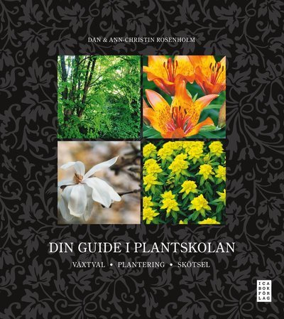 Cover for Dan Rosenholm · Din guide i plantskolan (Bound Book) (2011)