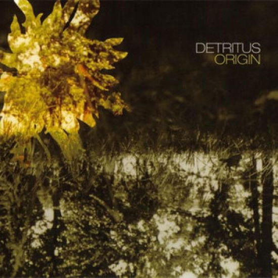 Cover for Detritus (LP) (2011)