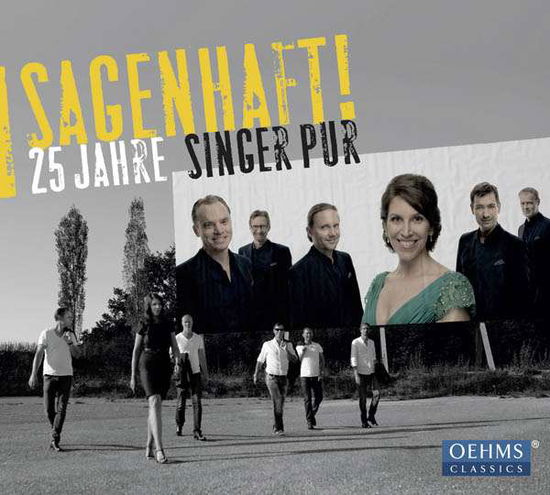 25 Jahre Singer Pur - Singer Pur - Musik - OEHMS - 4260330918536 - 9. marts 2017