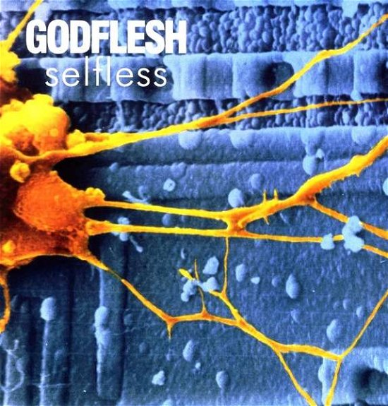 Selfless - Godflesh - Musik - ABP8 (IMPORT) - 5055006508536 - 15. januar 2021