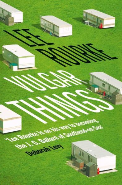 Cover for Lee Rourke · Vulgar Things (Paperback Book) (2015)