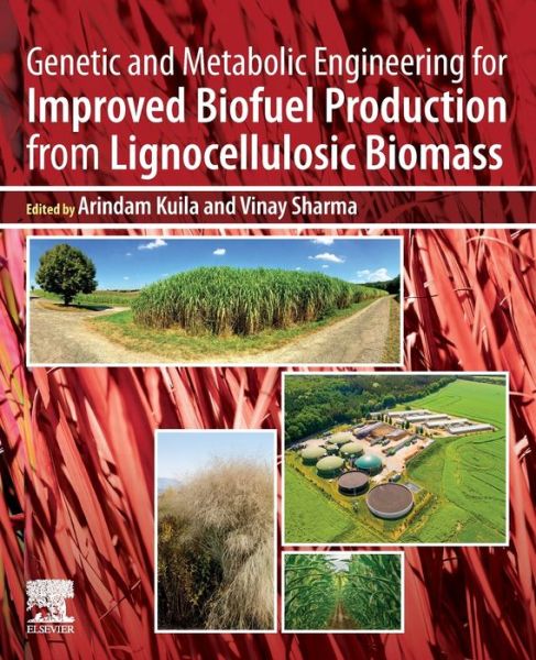 Cover for Arindam Kuila · Genetic and Metabolic Engineering for Improved Biofuel Production from Lignocellulosic Biomass (Paperback Book) (2020)