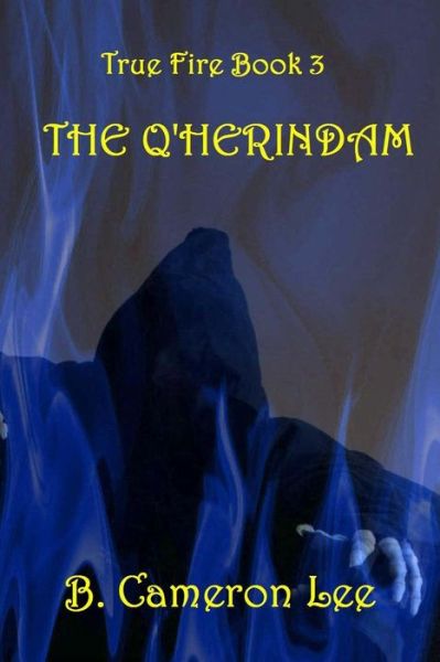 Cover for B Cameron Lee · True Fire Book 3. The Q'Herindam (Paperback Book) (2016)