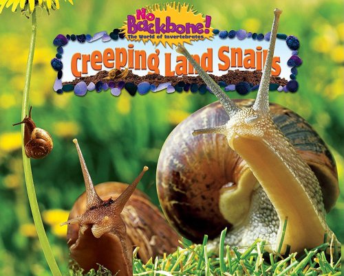 Creeping Land Snails (No Backbone! the World of Invertebrates) - Nancy White - Books - Bearport Publishing - 9781597167536 - 2009