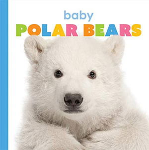 Cover for Kate Riggs · Baby Polar Bears (Bok) (2021)