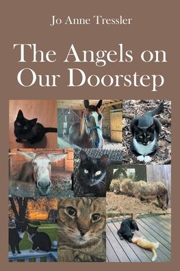Cover for Jo Anne Tressler · The Angels on Our Doorstep (Paperback Book) (2021)